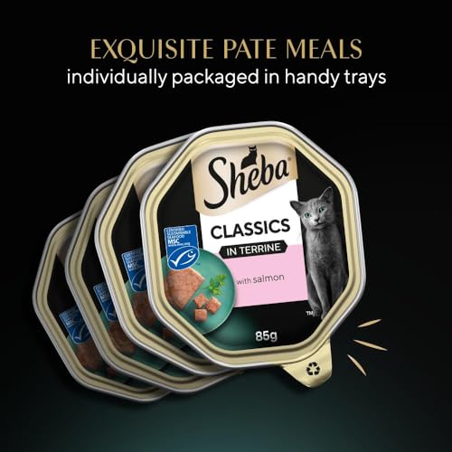 Sheba Classics Cat Food Trays Ocean Collection In Terrine 32X85G - 11