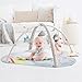 Skip Hop Baby Play Gym, Silver Lining Cloud, Grey