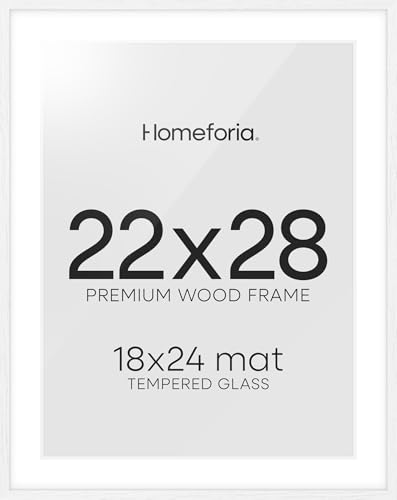 Homeforia 22x28 White Oak Frame with Matte Glass