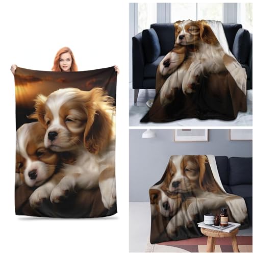 Couverture polaire pour chien ultra douce chaude et durable Dream