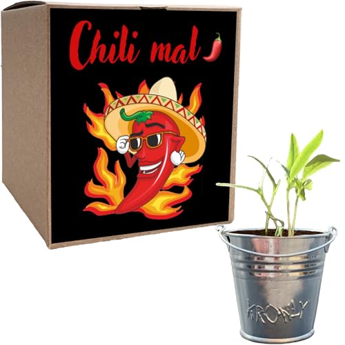 Geschenk für Männer Geschenkidee Chili Mal Anzuchtset Chili Männertag Geburtstagsgeschenk
