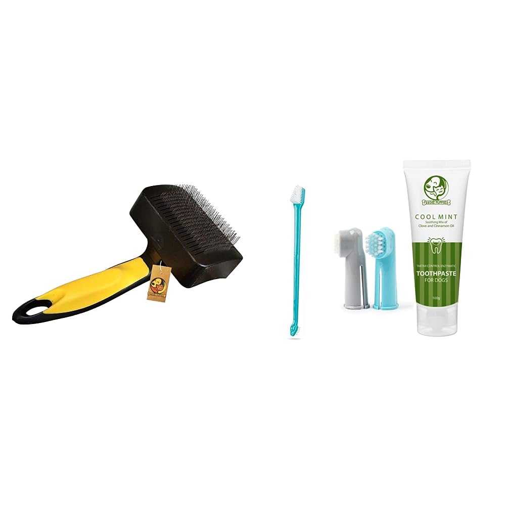 See full amazon price history chart for Foodie Puppies Dog Grooming Plastic Auto Slicker Self Cleaning Hair Brush for Dogs & Puppies & Cool Mint Toothpaste and Toothbrush Combo for Dogs - 100g Foodie Puppies Dog Grooming Plastic Auto Slicker Self Cleaning Hair Brush for Dogs & Puppies & Cool Mint Toothpaste and Toothbrush Combo for Dogs - 100g (B0CDDNJTZW) Amazon Price History, Amazon Price Tracker