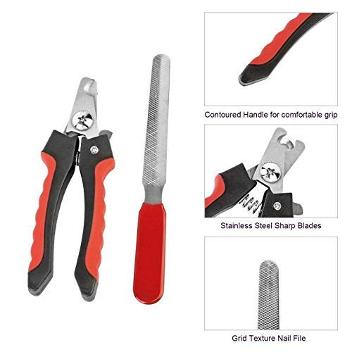 Sage Square Dog Nail Cutter with Clipper (Color May Vary) 1