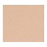 AVEDA Inner Light Dual Foundation Coffee No. 12 7 g