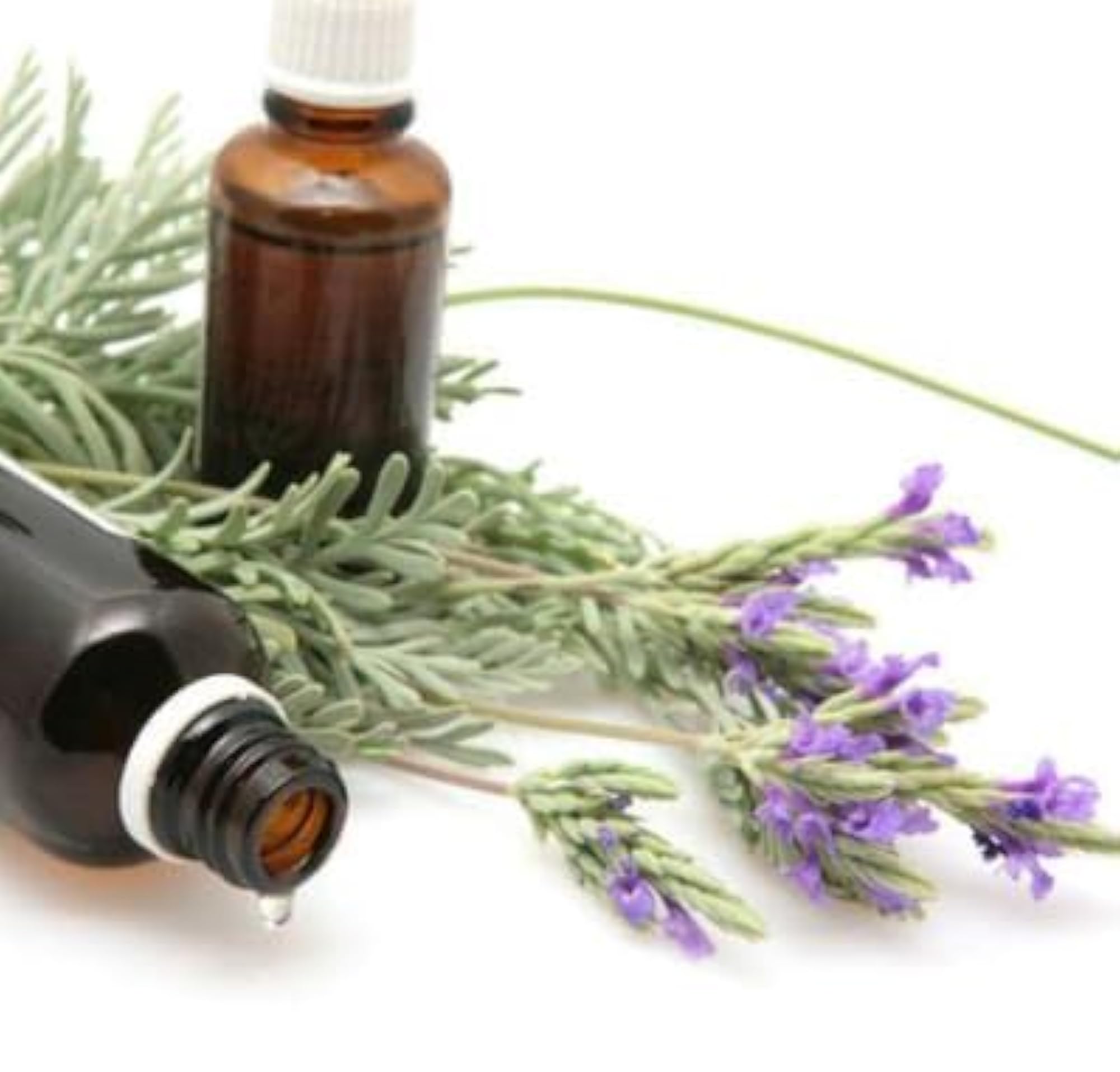 Lavender Aroma Oil for Home Fragrance, 25ml