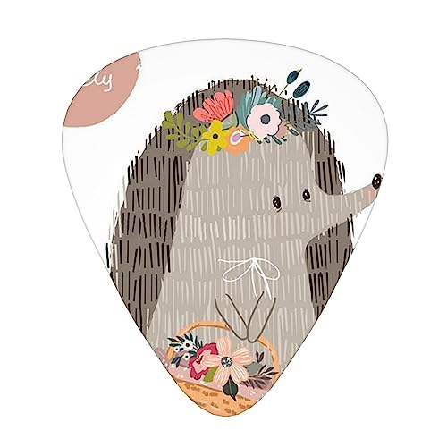 킢ẴnlY~ M^[sbN Guitar Pick 12Zbg eBAhbv^ GLM^[/AR[XeBbNM^[/NVbNM^[/x[X̗KɍœK12Zbg