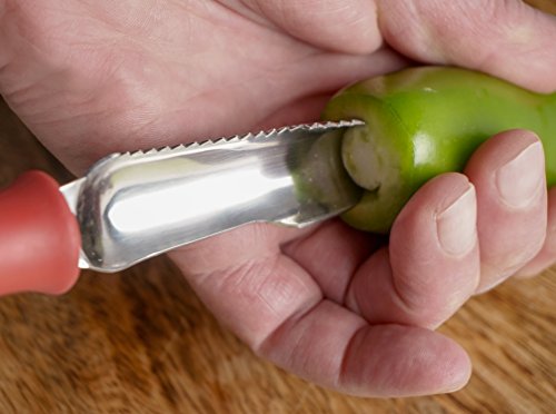 RSVP Coleção International Endurance Removedor de Núcleo de Vegetais e Sementes, Tomate, Abobrinha,