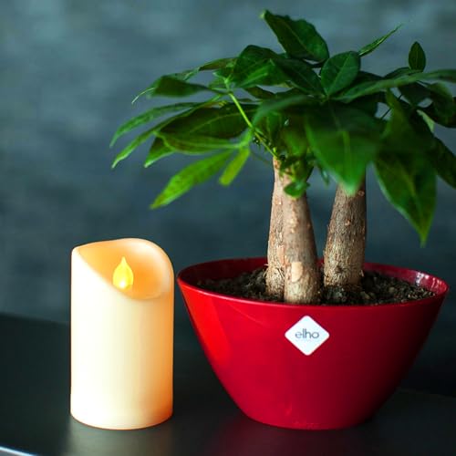 Image of CANDLE CHOICE Outdoor Battery Operated Flameless Candles with Remote Timer Waterproof Flickering Plastic Electric LED Pillar Lights for Lantern Patio Garden Wedding Party Decorations 3x5 Inches 2 Pack