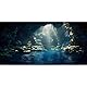 MIRRORANG 91x41cm Aquarium Hintergrund Berg Steine Höhle Aquarium Hintergrund Fluss Bett & See Fisch Tank Hintergrund Vinyl Hintergrund