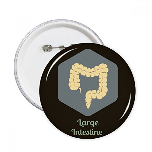 Grand Intestin Badge Pins Organes du corps Décoration DIYthinker S