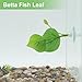 CAPASTEC Betta Fish Leaf, Natural Habitat Simulation for Betta Spawnings Grounds, Betta Spawnings Leaves, Resting Bed, Large & Small Leaves, Green