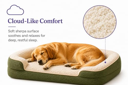 Image of Cutepups Orthopedic Dog Bed Medium Size (M) - Soft Plush Washable Bed for Medium Dogs