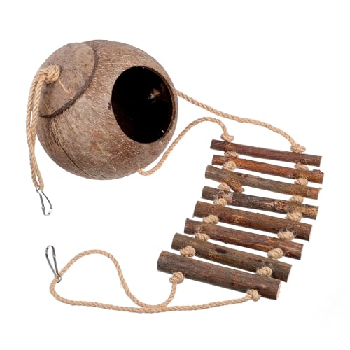 Happyyami Natural Lizard Shelter with Climbing Ladder Cozy Reptiles Hideout for Tortoises Geckos and Spiders Durable for Vibrant Terrarium Decor