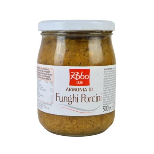 GR 500 SALSA DI FUNGHI PORCINI CREMA DI FUNGO PORCINO IN VASO VETRO CREAM OF MUSHROOMS