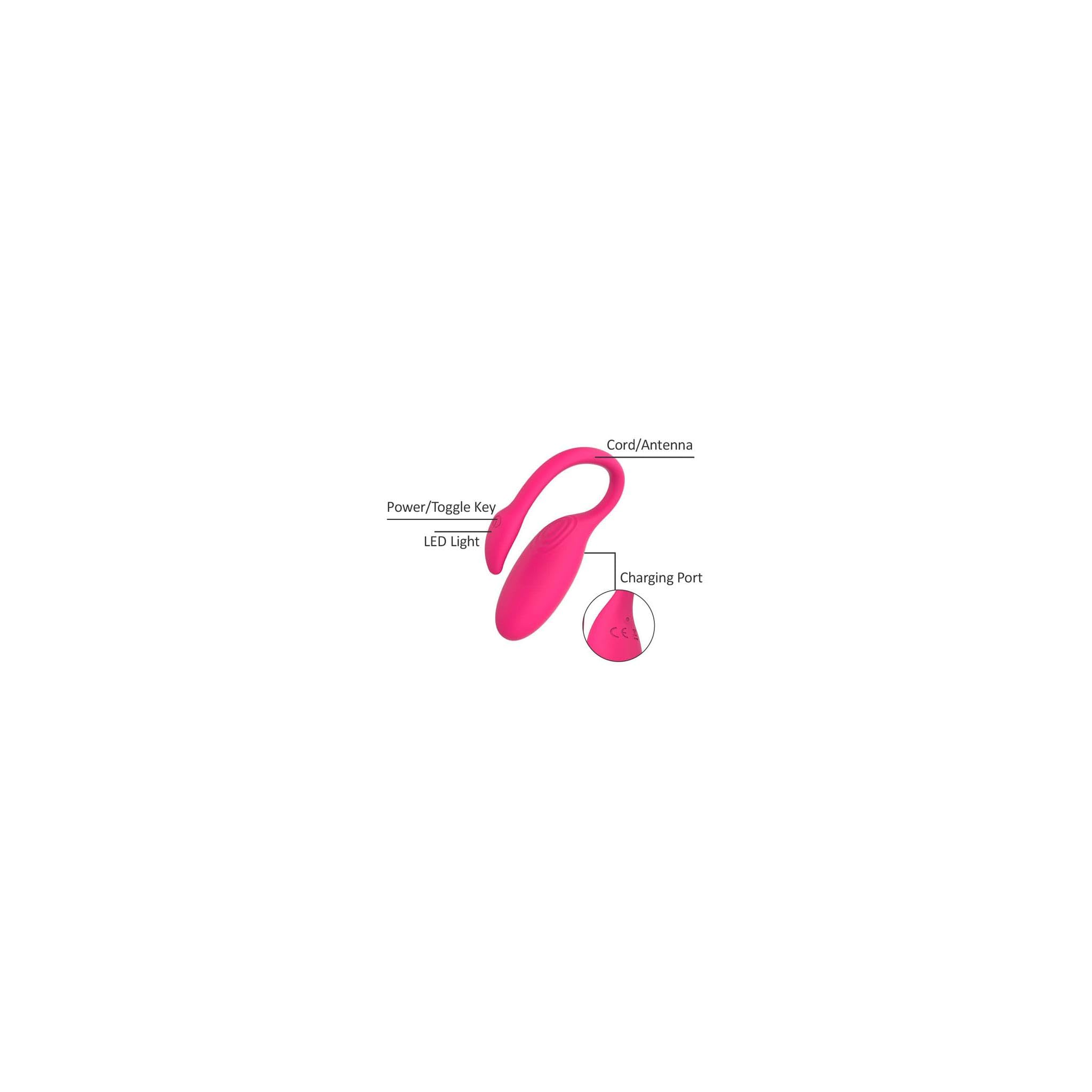 flamingo vibrating amazon Shockwave in Portage, WI – Reviews, Hours, and Contact Details main image 0