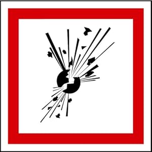 LEMAX Sicherheitsaufkleber GHS 01 Gefahrensymbole Explodierende Bombe Schwarz Vinyl Wandmontage 100 x 100 mm Explosion, Lebensgefahr, Sicherheitshinweis