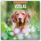 Vizslas - Magyar Vizsla - Short Haired Hungarian Pointer Dog 2025 - 16 Month Calendar: Original Red Robin Publishing Ltd Calendar [Multilingual] [Calendar] (Wall Calendar)