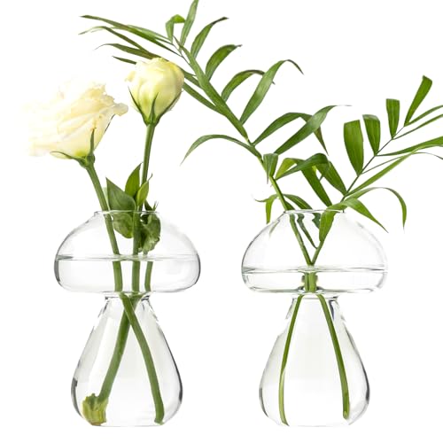 JGKYLDZ Mushroom Glass Planter Plant Propagation Station Cute Mushroom Vase Clear Glass Terrarium Jar Propagation Vase for Indoor Plants Home Decor Gifts for Plant Lovers (2)