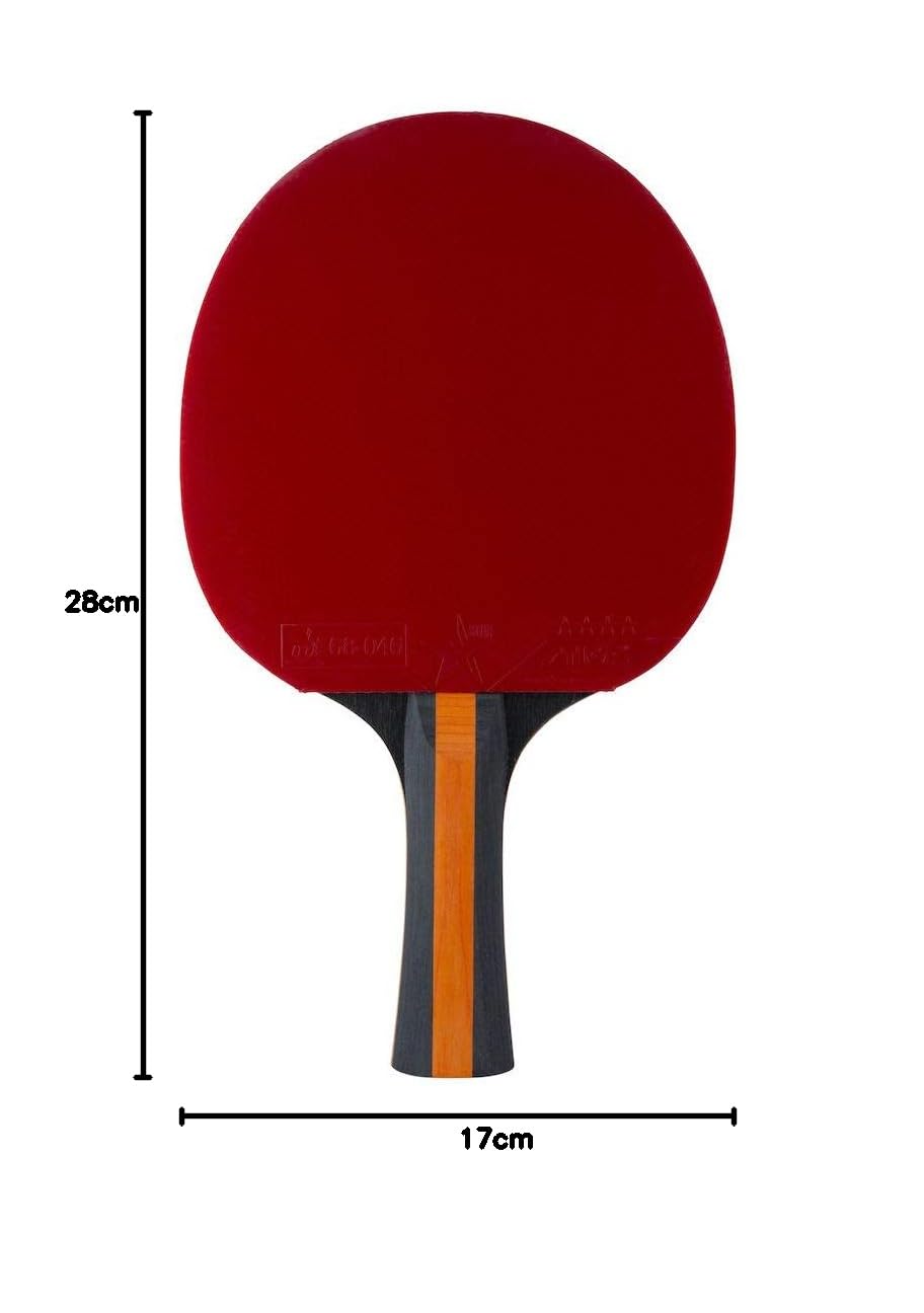 STIGA Vision 4-Star Table Tennis Racket - ITTF Approved Bat with Crystal Technology for High-Speed Gameplay, Control, and Spin