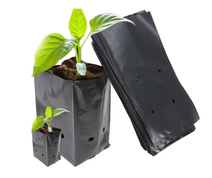 TATWA UV Protected Plant Bags for Home Garden Black | Plantation Bags for Terrace Garden | Nursery Bags for Plants 7 x 8-100 Pack (B0CM9WW2XV) Amazon Price History, Amazon Price Tracker