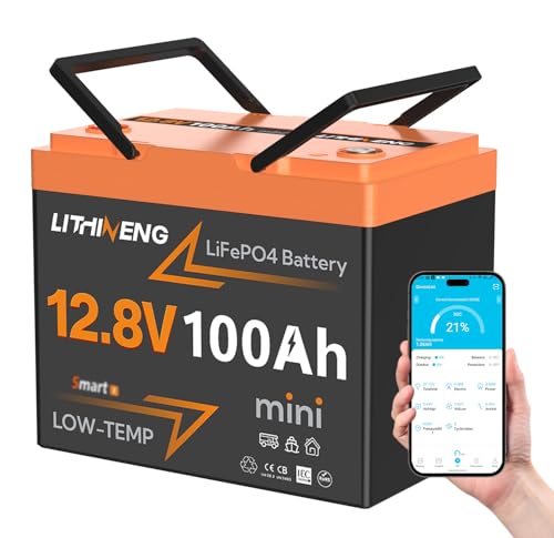 12V 100Ah LiFePO4 Battery with Bluetooth, Mini Lithium Battery Bu...