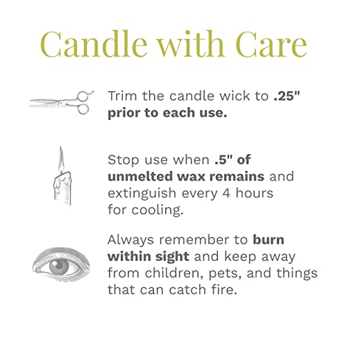 Candle-Lite Premium Bamboo Santal Scent, 14 Oz. 3-Wick Aromatherapy Candle With Up To 45 Hours Of Burn Time, Green #TOP7