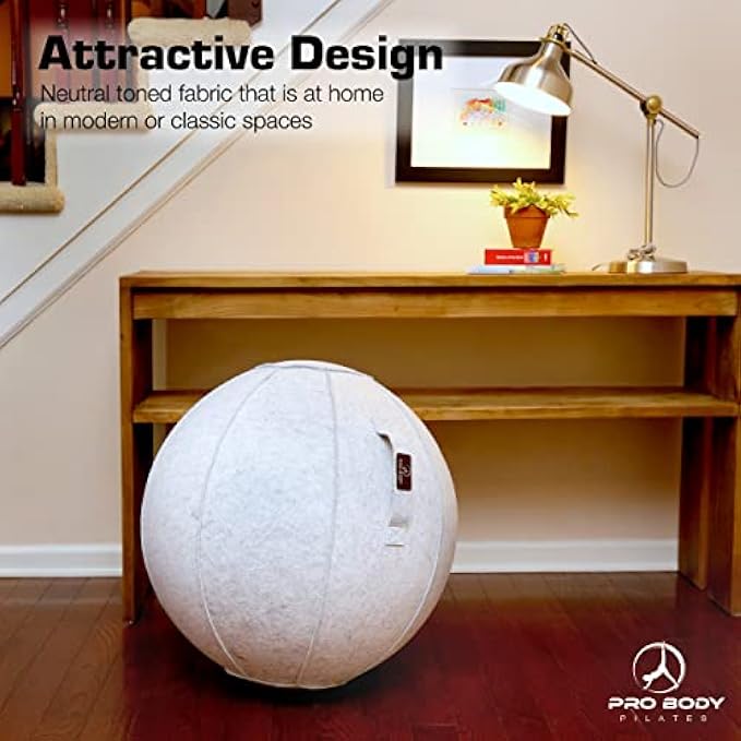 ProBody Pilates Yoga Ball Chair, Exercise Ball Chair for Office and