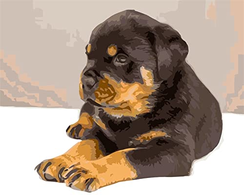 Peinture au diamant 5D chien en colère broderie cristal 30x40cm