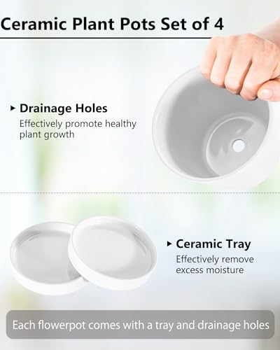 Image of EFISPSS Flower Planter -5 inch Ceramic Plant Pots with Drainage Holes and Ceramic Tray - Gardening Home Desktop Office Windowsill Decoration Gift Set of 4 - Plants NOT Included (White)