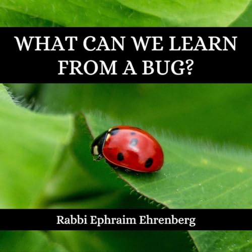 What can we learn from a bug? - Jewish psychology