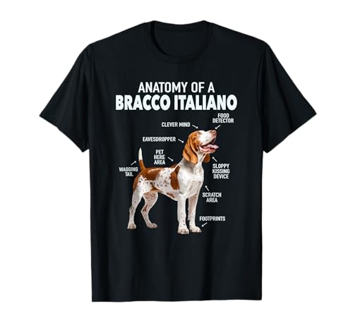 Anatomia Di Un Bracco Italiano