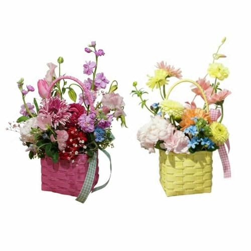 [3回定期便]季節の生花カラーバスケットフラワーS