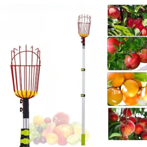 Ambety 蓮t[csbJ[A_Ɖʎ̃t[csbLO͂݁AA~Lk|[ASAA̖؂Eނ߂̋͂ȃc[ARɐLk\B (3m/3iA~Lk|[)