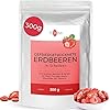 gefriergetrocknete ERDBEEREN 300g • gefriergetrocknete Früchte in Scheiben • Erdbeerchips ohne Zuckerzusatz • frei von Zusatzstoffen • fruchtig & gefriergetrocknet • in Deutschland hergestellt