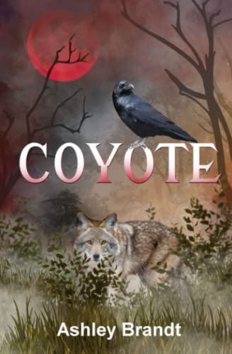 Coyote view 2