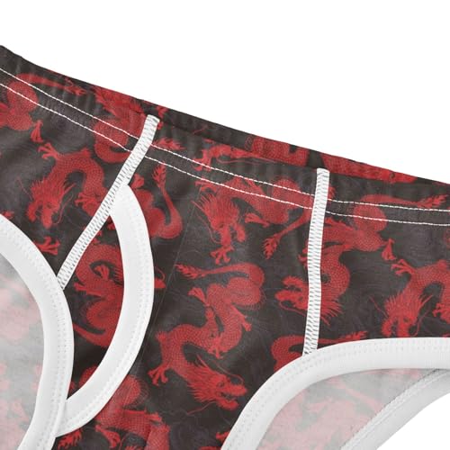 Boys' Exclusive Briefs Toddler Underwear 95% Combed Cotton Boxerbriefs 2T Red Dragon Pattern 334