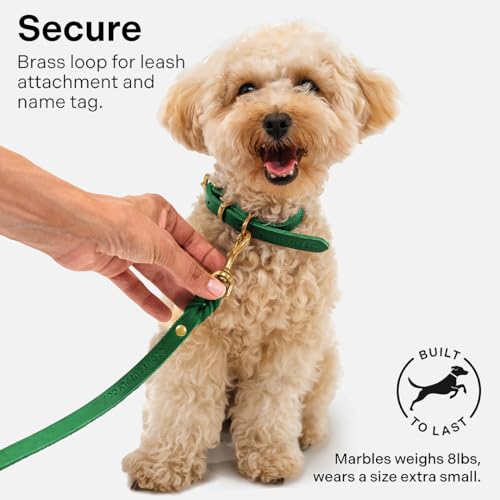 Image of Classic Genuine Leather Dog Collar | Dog Collars for Medium Dogs, Small Dogs, Large Dogs & Extra Large Dog | Wide Dog Collar | Heavy Duty Collar | Green (XL: 1.2 inch Wide for 18.5 inch-21 inch Neck)