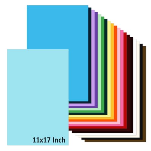 11x17 Large Cardstock A3 Color Paper Colored Card Stock 60 Sheets Multi-Color Poster Sheets 20 Colors 80lb Thick Printer Paper Display Board for Art and Crafts Exhibits