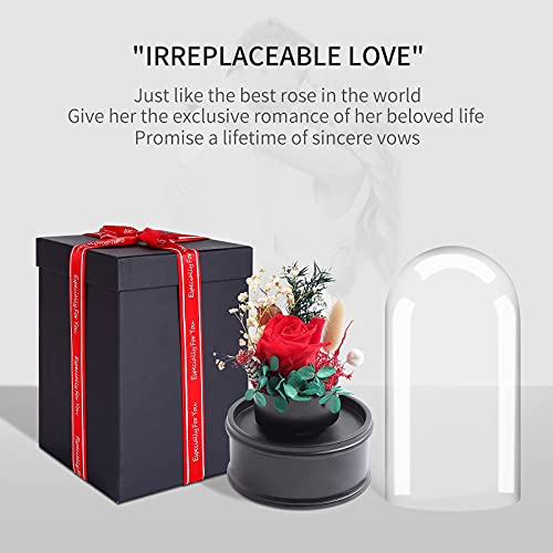 Preserved Rose Music Box For Women, For Her, Forever Flowers Red Rose In Glass Dome, Eternal Glass Rose, Music Box Gifts For Christmas, Valentine's Day #TOP2