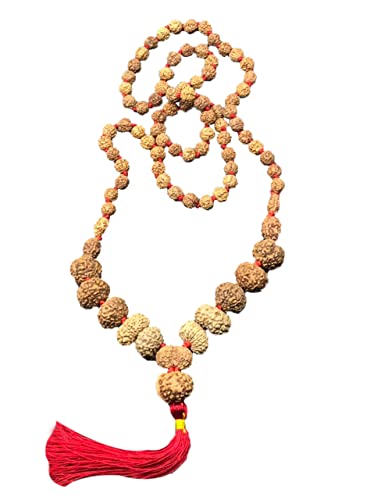 Mala Rudraksha de taille moyenne pour méditer au quotidien avec 1 à 14 Mukhi
