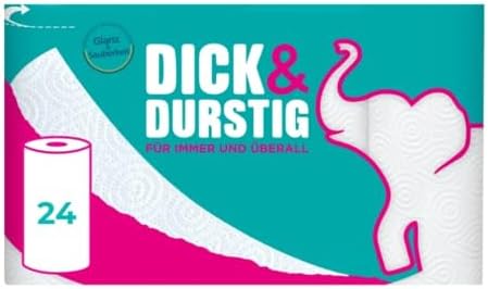 Hakle Dick & Durstig, 24 Rollen Haushaltstücher, 2-lagig | 43 Blatt pro Rolle, für Immer & Überall, das Gute Gefühl von Hygiene im Haushalt