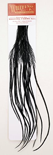 Whiting Farms 100's Saddle Hackle Pack Whiting Farms 100's Saddle Hackle Pack