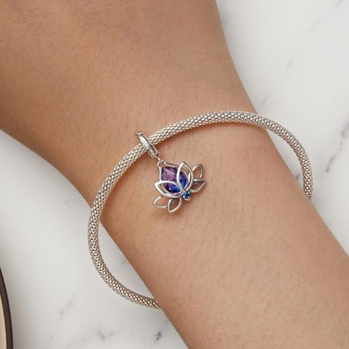 VOROCO Charm 925 Sterling Silver Bracelet Necklace Pendant Bead Charms Jewelry Gift for Women Mother Daughter Grandma Family Friends3