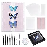 PH PandaHall Vitrine pour Insectes Kit D'Outils pour Spécimens D'Insectes Boîte de Collection Kit D'Entomologie Tableau D'Affichage en Mousse pour Débutants Enseignement