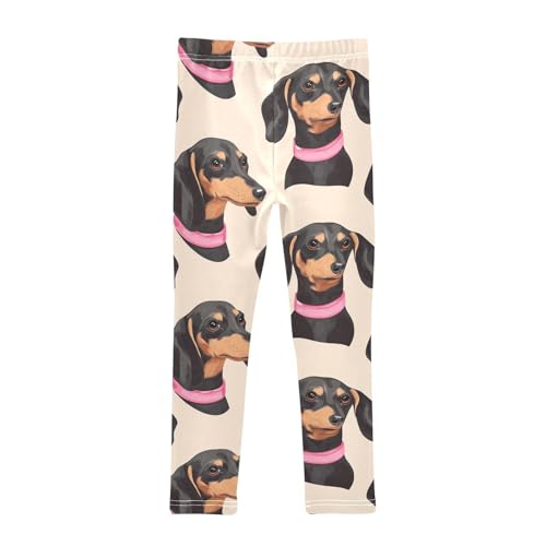 Dachshund in Collar Girls Leggings,Workout Leggings for Girls Toddler Athletic Leggings Size for 3-10T2