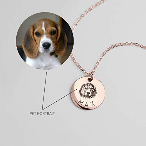 Best Pet Portraits