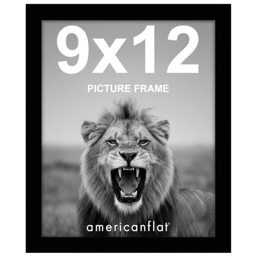 Americanflat 9x12 Picture Frame with Shatter-Resistant Glass - Signature Collection - Gallery-Style Frames Made of Engineered Wood - Photo Frame for Tabletop and Wall Display - Black