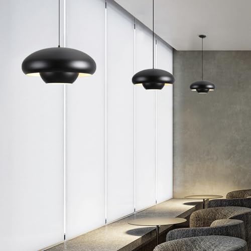 Suspension en métal suspendue avec source lumineuse pour éclairage décoratif - 3