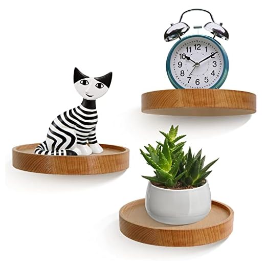AceList 3-Pack Round Floating Shelves for Wall Decor, 6'' Diameter Beech Wood Circle Floating Shelf, Cup Plant Wall Shelves for Bedroom, Bedroom, Living Room, Bathroom, Kitchen