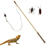 Duedusto Bearded Dragon Toys for Reptile, Lizard Roach Toy, Interactive Reptile String Wand Toy, Bearded Dragon Tank Accessories